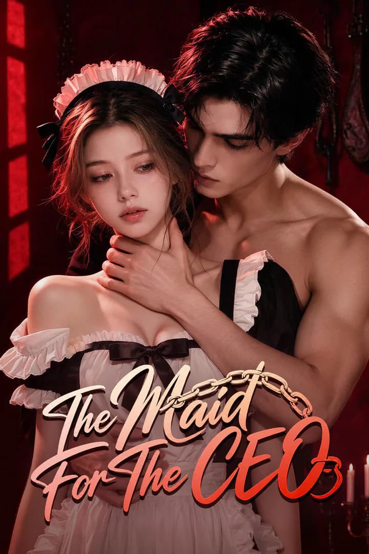 The Maid for the CEO poster